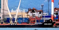 QUANG MINH 5